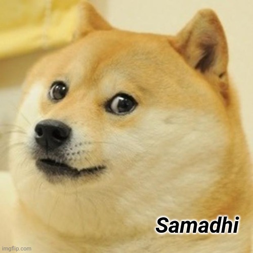 Doge Meme | Samadhi | image tagged in memes,doge | made w/ Imgflip meme maker