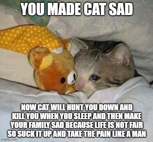 do people even view the cat stream? | YOU MADE CAT SAD; NOW CAT WILL HUNT YOU DOWN AND KILL YOU WHEN YOU SLEEP AND THEN MAKE YOUR FAMILY SAD BECAUSE LIFE IS NOT FAIR SO SUCK IT UP AND TAKE THE PAIN LIKE A MAN | image tagged in crying cat | made w/ Imgflip meme maker