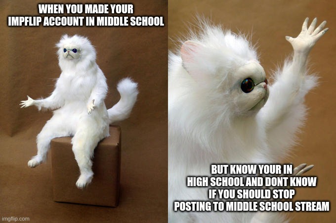 Persian Cat Room Guardian | WHEN YOU MADE YOUR IMPFLIP ACCOUNT IN MIDDLE SCHOOL; BUT KNOW YOUR IN HIGH SCHOOL AND DONT KNOW IF YOU SHOULD STOP POSTING TO MIDDLE SCHOOL STREAM | image tagged in memes,persian cat room guardian | made w/ Imgflip meme maker