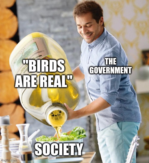 no, birds are not real | "BIRDS ARE REAL"; THE GOVERNMENT; SOCIETY | image tagged in guy pouring olive oil on the salad | made w/ Imgflip meme maker
