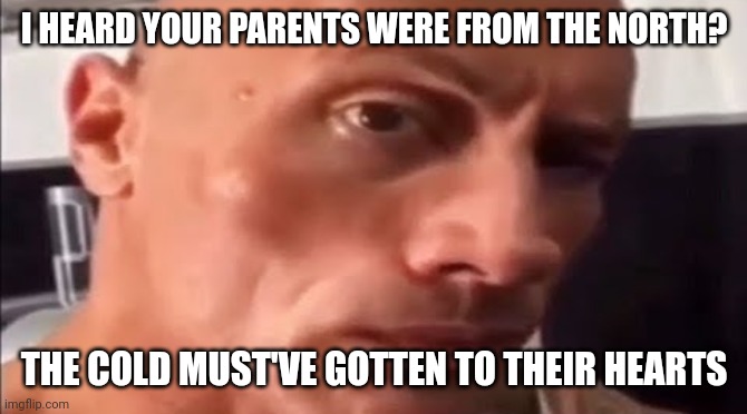 L coldblooded | I HEARD YOUR PARENTS WERE FROM THE NORTH? THE COLD MUST'VE GOTTEN TO THEIR HEARTS | image tagged in the rock eyebrow | made w/ Imgflip meme maker