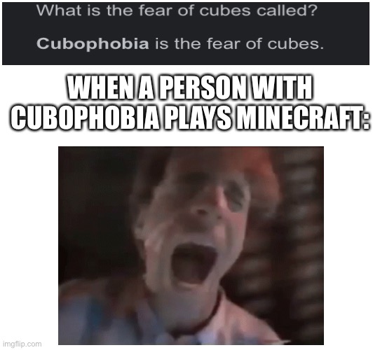 . | WHEN A PERSON WITH CUBOPHOBIA PLAYS MINECRAFT: | image tagged in block | made w/ Imgflip meme maker