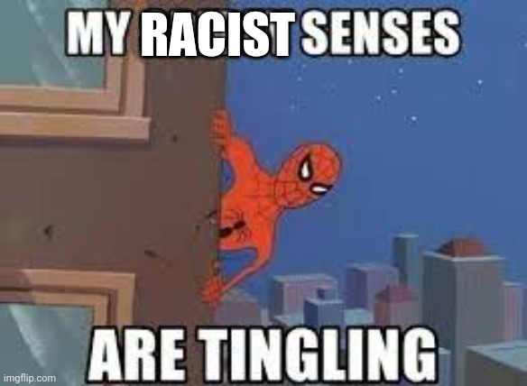 My Spidey Senses Are Tingling | RACIST | image tagged in my spidey senses are tingling | made w/ Imgflip meme maker