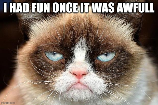the iconic grumpy cat | I HAD FUN ONCE IT WAS AWFULL | image tagged in memes,grumpy cat not amused,grumpy cat | made w/ Imgflip meme maker