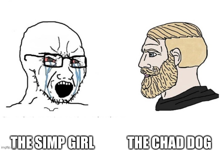 Soyboy Vs Yes Chad | THE CHAD DOG; THE SIMP GIRL | image tagged in soyboy vs yes chad | made w/ Imgflip meme maker