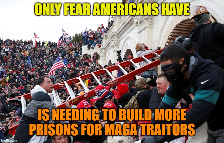 Qanon - Insurrection - Trump riot - sedition | ONLY FEAR AMERICANS HAVE IS NEEDING TO BUILD MORE PRISONS FOR MAGA TRAITORS | image tagged in qanon - insurrection - trump riot - sedition | made w/ Imgflip meme maker
