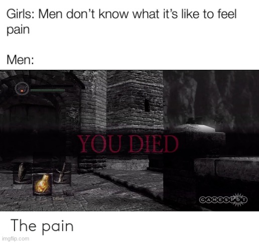 The Pain | image tagged in dark souls,died,funny,relatable,gaming | made w/ Imgflip meme maker