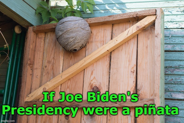The Biden Presidency | If Joe Biden's Presidency were a piñata | image tagged in pinata,hornet,hive,biden | made w/ Imgflip meme maker