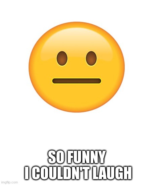 Straight Face | SO FUNNY
 I COULDN'T LAUGH | image tagged in straight face | made w/ Imgflip meme maker