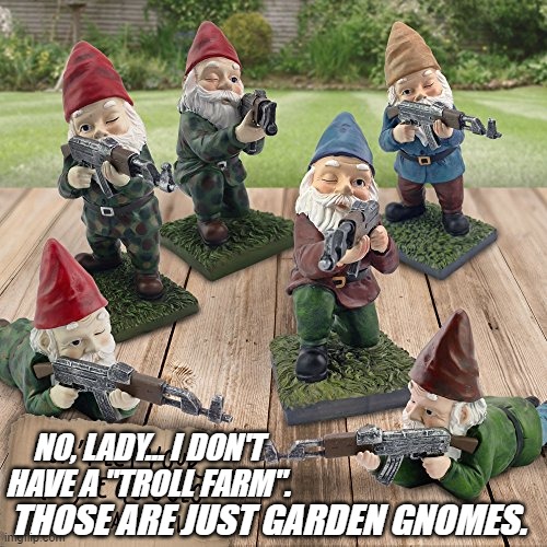 Some [people just can't appreciate fine art. | NO, LADY... I DON'T HAVE A "TROLL FARM". THOSE ARE JUST GARDEN GNOMES. | image tagged in gnomes,political humor,trolls | made w/ Imgflip meme maker