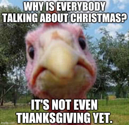 it do be true tho, or am i just tripping. | WHY IS EVERYBODY TALKING ABOUT CHRISTMAS? IT'S NOT EVEN THANKSGIVING YET. | image tagged in never gonna give you up,never gonna let you down,never gonna run around,and desert you,why are you reading this,bruh moment | made w/ Imgflip meme maker