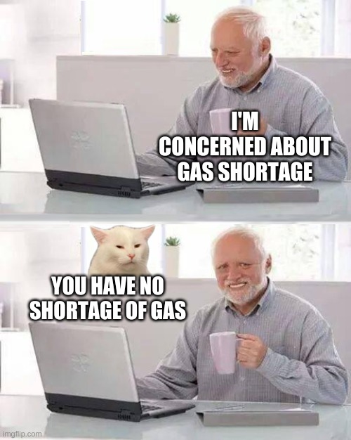 Hide The Smudge Harold |  I'M CONCERNED ABOUT GAS SHORTAGE; YOU HAVE NO SHORTAGE OF GAS | image tagged in hide the smudge harold,hide the pain harold,smudge the cat,gas prices,renewable energy,natural | made w/ Imgflip meme maker