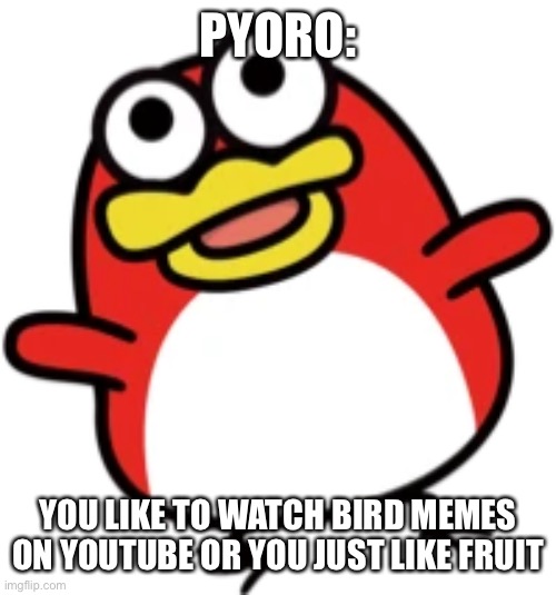 PYORO:; YOU LIKE TO WATCH BIRD MEMES ON YOUTUBE OR YOU JUST LIKE FRUIT | made w/ Imgflip meme maker