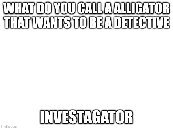 wecwfx | WHAT DO YOU CALL A ALLIGATOR THAT WANTS TO BE A DETECTIVE; INVESTAGATOR | image tagged in udhcnafaefdf,cheese | made w/ Imgflip meme maker