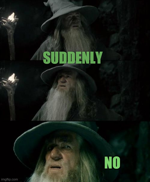 Confused Gandalf Meme | SUDDENLY NO | image tagged in memes,confused gandalf | made w/ Imgflip meme maker