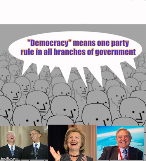 Democrat new definition of democracy is laughable |  "Democracy" means one party rule in all branches of government | image tagged in democracy,npc,democrats,autocrats | made w/ Imgflip meme maker