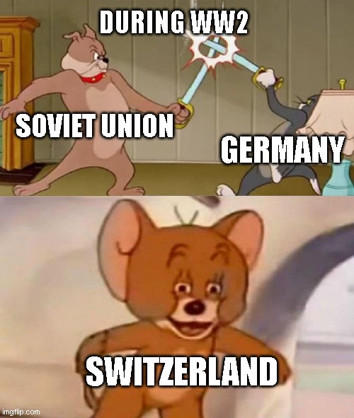 Tom and Jerry swordfight | DURING WW2; SOVIET UNION; GERMANY; SWITZERLAND | image tagged in tom and jerry swordfight | made w/ Imgflip meme maker