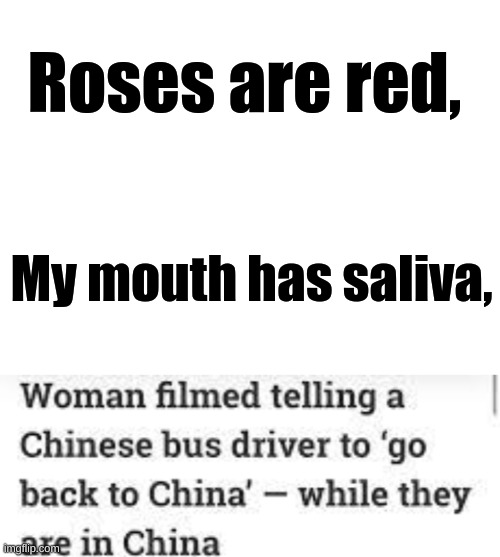 Seriously? | Roses are red, My mouth has saliva, | image tagged in blank white template,racist,are you serious,oh wow are you actually reading these tags,stop reading the tags | made w/ Imgflip meme maker