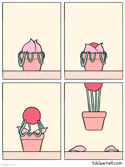 Fly plant | image tagged in plants,plant,comic,comics,comics/cartoons,fly | made w/ Imgflip meme maker