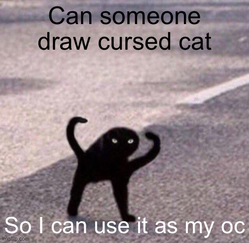 Cursed cat temp | Can someone draw cursed cat; So I can use it as my oc | image tagged in cursed cat temp | made w/ Imgflip meme maker