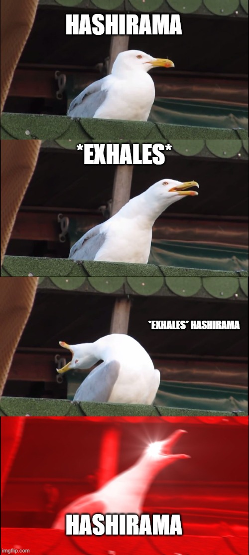 Inhaling Seagull | HASHIRAMA; *EXHALES*; *EXHALES* HASHIRAMA; HASHIRAMA | image tagged in memes,inhaling seagull | made w/ Imgflip meme maker