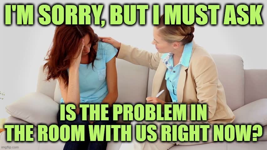 Therapist | I'M SORRY, BUT I MUST ASK IS THE PROBLEM IN THE ROOM WITH US RIGHT NOW? | image tagged in therapist | made w/ Imgflip meme maker