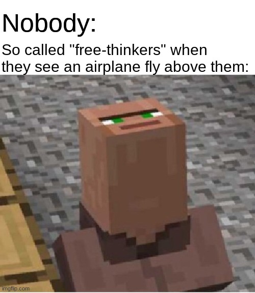 These NPC's man... | Nobody:; So called "free-thinkers" when they see an airplane fly above them: | image tagged in blank white template,minecraft villager looking up,npc,minecraft,minecraft villagers,airplanes | made w/ Imgflip meme maker