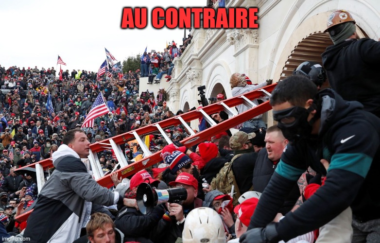 Qanon - Insurrection - Trump riot - sedition | AU CONTRAIRE | image tagged in qanon - insurrection - trump riot - sedition | made w/ Imgflip meme maker