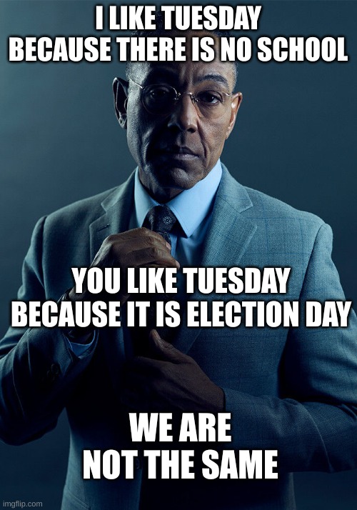 Election Day | I LIKE TUESDAY BECAUSE THERE IS NO SCHOOL; YOU LIKE TUESDAY BECAUSE IT IS ELECTION DAY; WE ARE NOT THE SAME | image tagged in gus fring we are not the same | made w/ Imgflip meme maker
