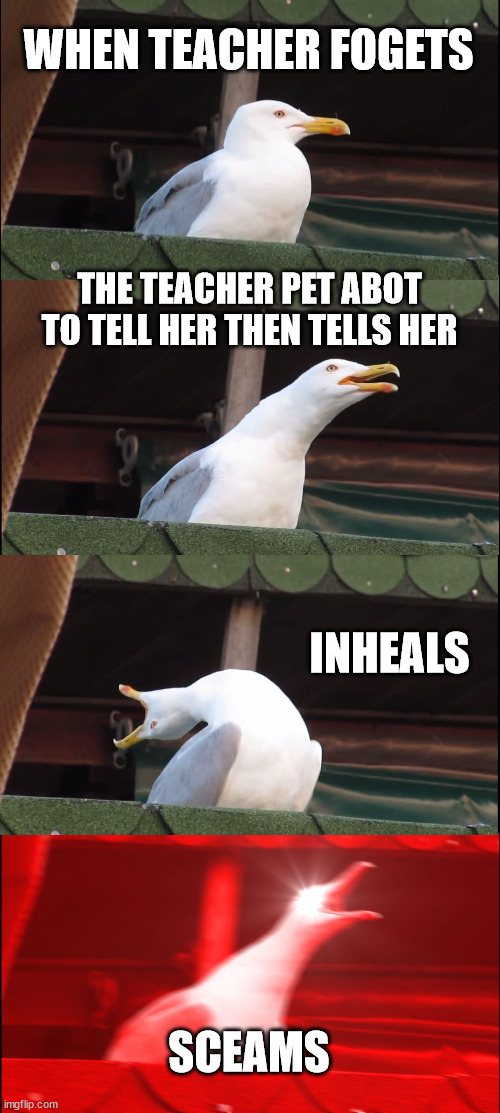 bo is the best | WHEN TEACHER FOGETS; THE TEACHER PET ABOT TO TELL HER THEN TELLS HER; INHEALS; SCEAMS | image tagged in memes,inhaling seagull | made w/ Imgflip meme maker