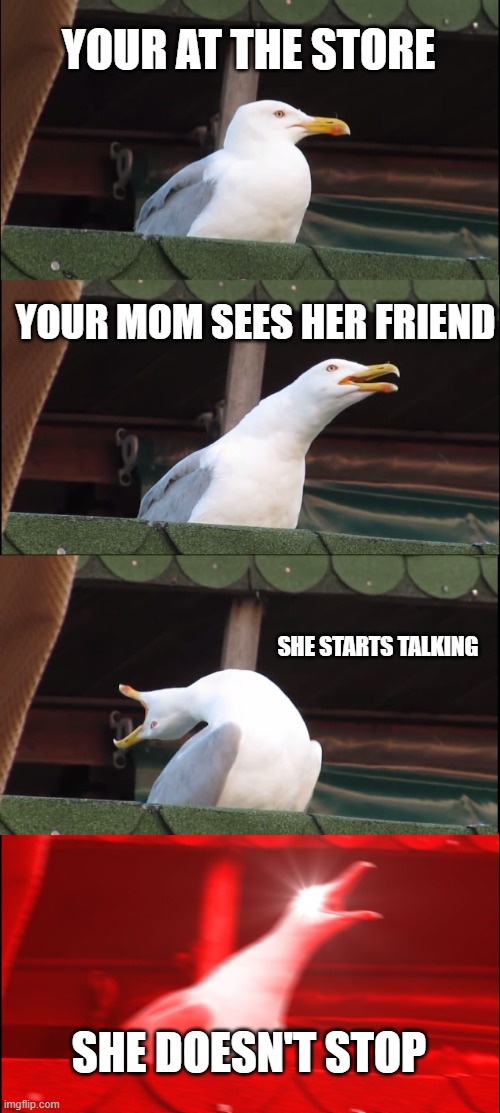 accurate | YOUR AT THE STORE; YOUR MOM SEES HER FRIEND; SHE STARTS TALKING; SHE DOESN'T STOP | image tagged in memes,inhaling seagull | made w/ Imgflip meme maker