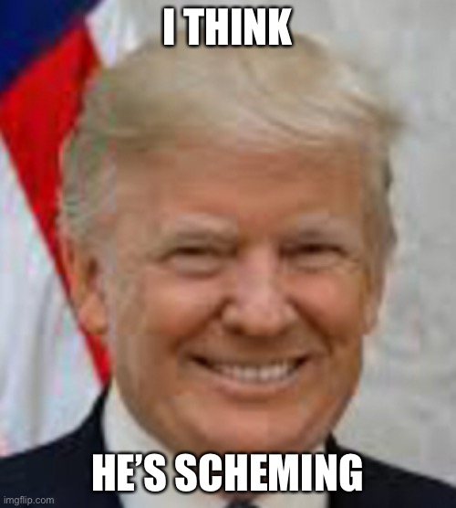 Trump | I THINK; HE’S SCHEMING | image tagged in trump | made w/ Imgflip meme maker