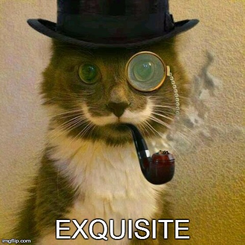 EXQUISITE | image tagged in aristocat,cats | made w/ Imgflip meme maker
