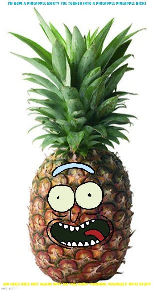 pineapple rick | I'M NOW A PINEAPPLE MORTY I'VE TURNED INTO A PINEAPPLE PINEAPPLE RICK! AW GEEZ RICK NOT AGAIN WHY DO YOU KEEP TURNING YOURSELF INTO STUFF | image tagged in pineapple,rick and morty,warner bros | made w/ Imgflip meme maker