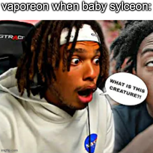 vaporeon when baby sylceon: | image tagged in what is this creature | made w/ Imgflip meme maker