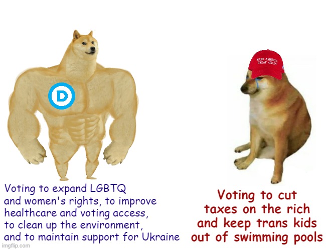 Buff DNC doge vs. MAGA cheems | Voting to expand LGBTQ and women's rights, to improve healthcare and voting access, to clean up the environment, and to maintain support for Ukraine; Voting to cut taxes on the rich and keep trans kids out of swimming pools | image tagged in buff dnc doge vs maga cheems | made w/ Imgflip meme maker