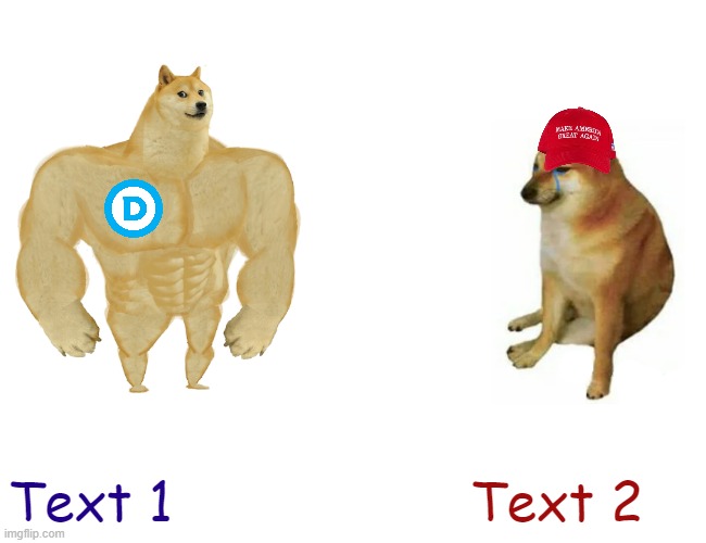 Buff DNC doge vs. MAGA cheems | Text 1; Text 2 | image tagged in buff dnc doge vs maga cheems | made w/ Imgflip meme maker