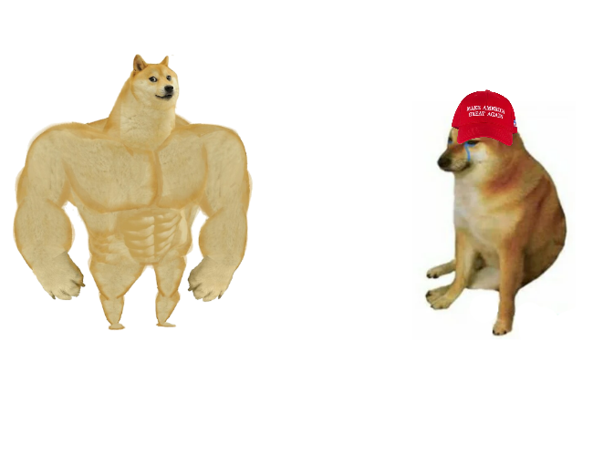 Buff doge vs. MAGA cheems Blank Meme Template
