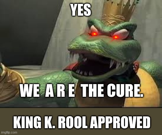 for reasons this is referring to autism | YES; WE  A R E  THE CURE. KING K. ROOL APPROVED | image tagged in king k rool summons za hando | made w/ Imgflip meme maker