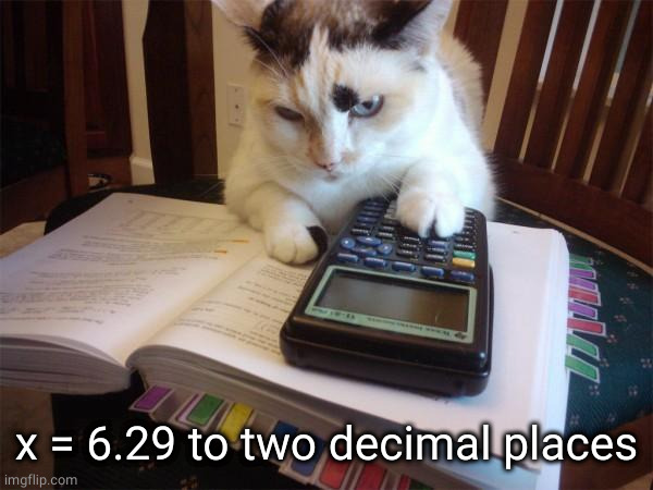 Math cat | x = 6.29 to two decimal places | image tagged in math cat | made w/ Imgflip meme maker