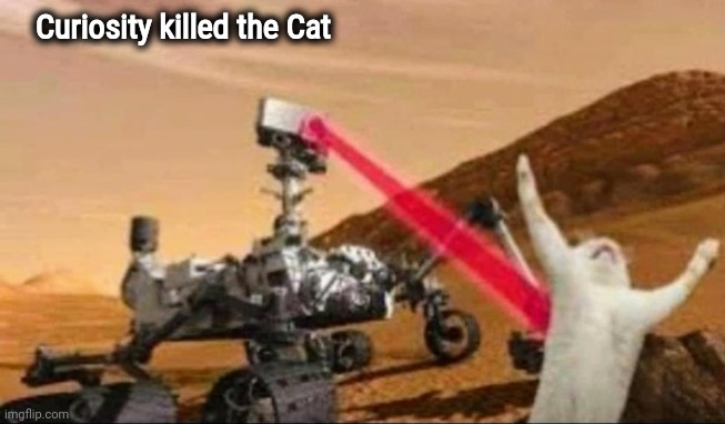 Just Google it | Curiosity killed the Cat | image tagged in i have found x,what did you think,and that's a fact,scared cat,life on mars | made w/ Imgflip meme maker