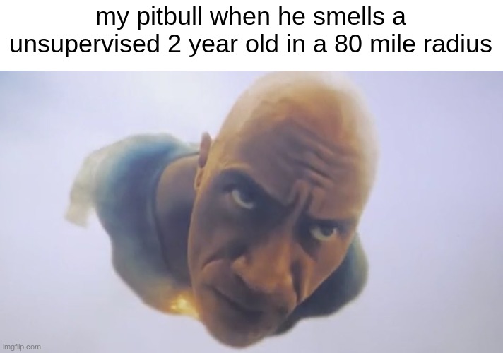 Black Adam Flying | my pitbull when he smells a unsupervised 2 year old in a 80 mile radius | image tagged in black adam flying | made w/ Imgflip meme maker