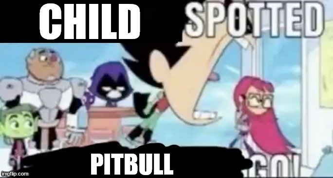 ____ spotted ____ go! | CHILD PITBULL | image tagged in ____ spotted ____ go | made w/ Imgflip meme maker