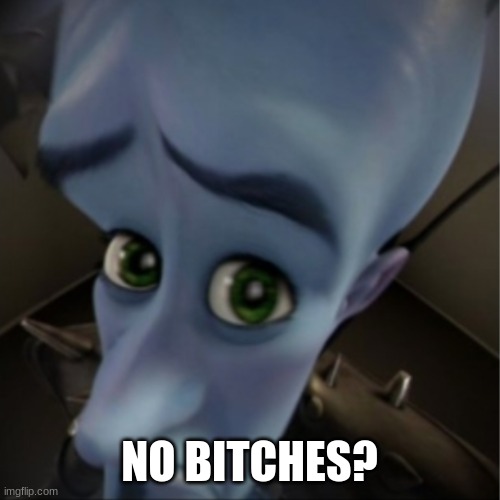 Megamind peeking | NO BITCHES? | image tagged in megamind peeking | made w/ Imgflip meme maker