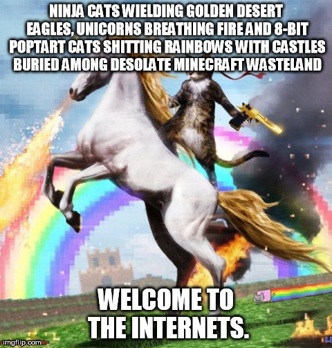 Welcome To The Internets Meme | NINJA CATS WIELDING GOLDEN DESERT EAGLES, UNICORNS BREATHING FIRE AND 8-BIT POPTART CATS SHITTING RAINBOWS WITH CASTLES BURIED AMONG DESOLAT | image tagged in memes,welcome to the internets | made w/ Imgflip meme maker