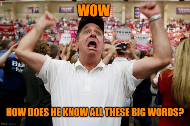 Trump Supporter Triggered | WOW HOW DOES HE KNOW ALL THESE BIG WORDS? | image tagged in trump supporter triggered | made w/ Imgflip meme maker