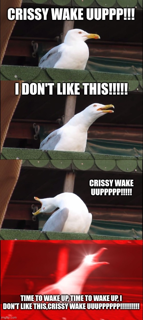 Inhaling Seagull | CRISSY WAKE UUPPP!!! I DON'T LIKE THIS!!!!! CRISSY WAKE UUPPPPP!!!!! TIME TO WAKE UP, TIME TO WAKE UP, I DON'T LIKE THIS,CRISSY WAKE UUUPPPPPP!!!!!!!!!! | image tagged in memes | made w/ Imgflip meme maker