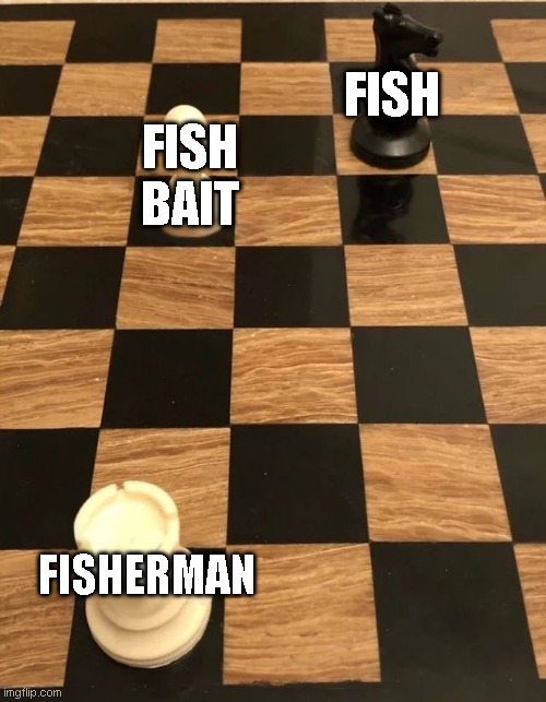 Chess Knight Pawn Rook | FISH; FISH BAIT; FISHERMAN | image tagged in chess knight pawn rook | made w/ Imgflip meme maker