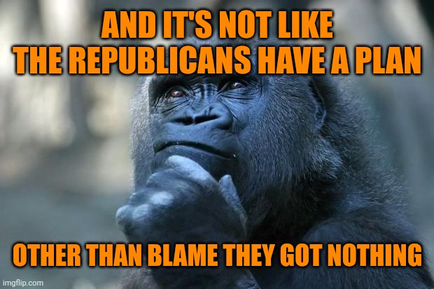 Deep Thoughts | AND IT'S NOT LIKE THE REPUBLICANS HAVE A PLAN OTHER THAN BLAME THEY GOT NOTHING | image tagged in deep thoughts | made w/ Imgflip meme maker