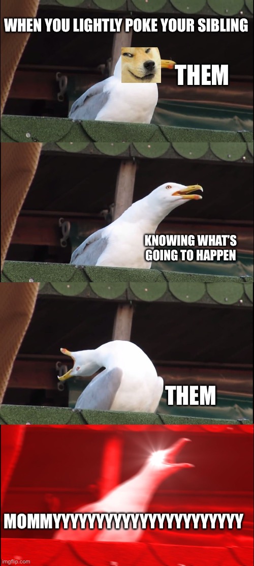 Cringy but true | WHEN YOU LIGHTLY POKE YOUR SIBLING; THEM; KNOWING WHAT’S GOING TO HAPPEN; THEM; MOMMYYYYYYYYYYYYYYYYYYYYYY | image tagged in memes,inhaling seagull | made w/ Imgflip meme maker